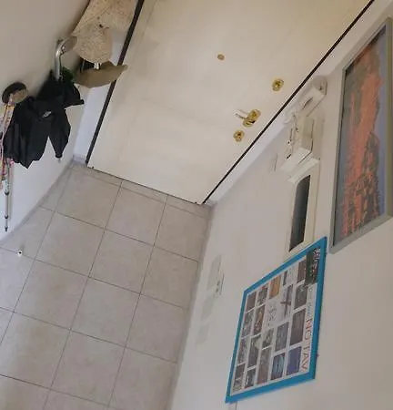 Camelia Apartment